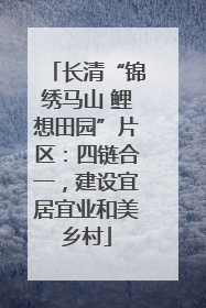 长清“锦绣马山 鲤想田园”片区：四链合一，建设宜居宜业和美乡村