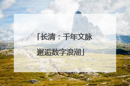 长清：千年文脉邂逅数字浪潮
