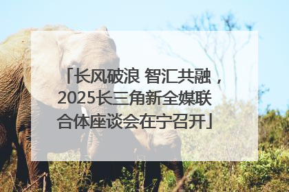 长风破浪 智汇共融，2025长三角新全媒联合体座谈会在宁召开
