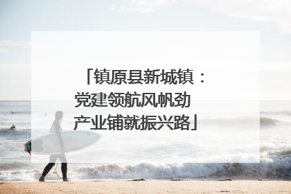 镇原县新城镇：党建领航风帆劲 产业铺就振兴路