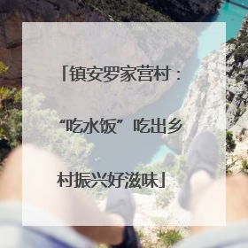 镇安罗家营村：“吃水饭”吃出乡村振兴好滋味