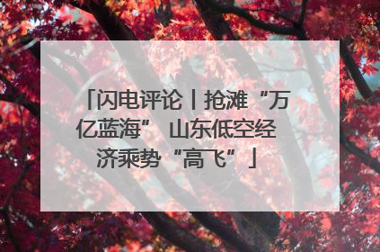 闪电评论丨抢滩“万亿蓝海” 山东低空经济乘势“高飞”
