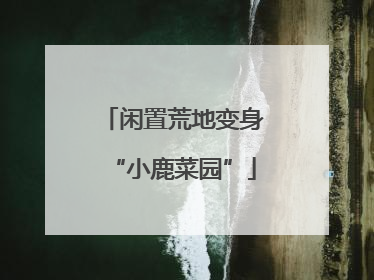 闲置荒地变身“小鹿菜园”