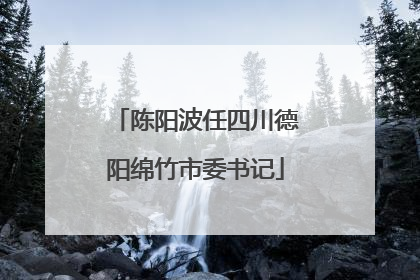 陈阳波任四川德阳绵竹市委书记