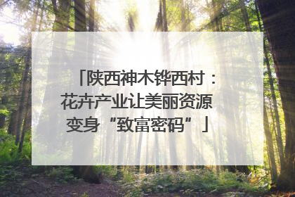 陕西神木铧西村：花卉产业让美丽资源变身“致富密码”