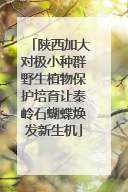 陕西加大对极小种群野生植物保护培育让秦岭石蝴蝶焕发新生机