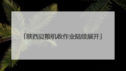 陕西夏粮机收作业陆续展开
