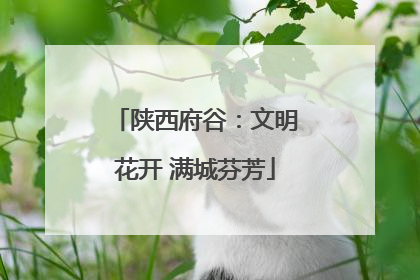 陕西府谷：文明花开 满城芬芳