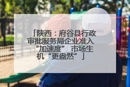 陕西：府谷县行政审批服务局企业准入“加速度” 市场生机“更盎然”