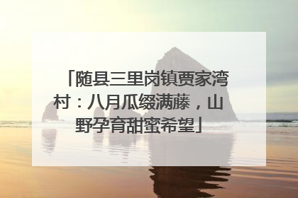 随县三里岗镇贾家湾村：八月瓜缀满藤，山野孕育甜蜜希望