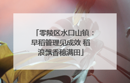 零陵区水口山镇：早稻管理见成效 稻浪飘香穗满田