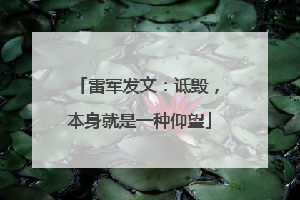 雷军发文：诋毁，本身就是一种仰望