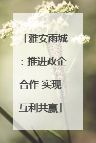 雅安雨城：推进政企合作 实现互利共赢