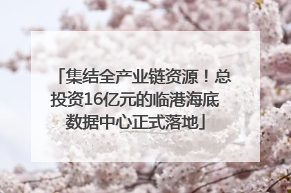 集结全产业链资源！总投资16亿元的临港海底数据中心正式落地