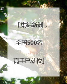 集结新洲，全国500名高手已就位