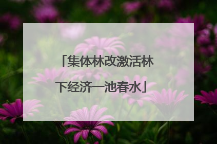 集体林改激活林下经济一池春水