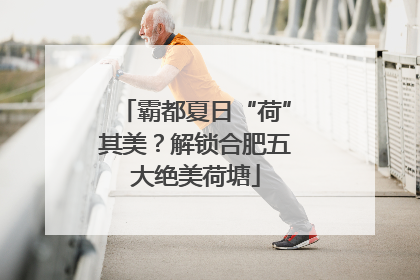 霸都夏日“荷”其美？解锁合肥五大绝美荷塘