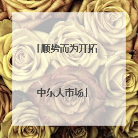 顺势而为开拓中东大市场