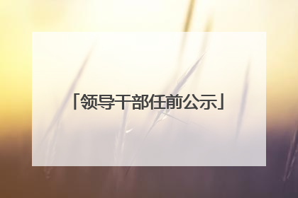 领导干部任前公示
