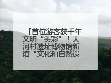 首位游客获千年文明“头彩”！大河村遗址博物馆新馆“文化和自然遗产日”璀璨启幕