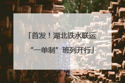 首发！湖北铁水联运“一单制”班列开行