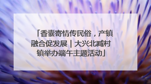 香囊寄情传民俗，产镇融合促发展｜大兴北臧村镇举办端午主题活动