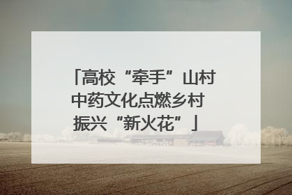 高校“牵手”山村 中药文化点燃乡村振兴“新火花”
