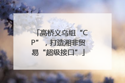 高桥义乌组“CP”，打造湘非贸易“超级接口”