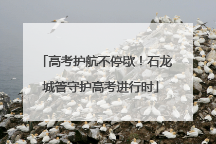 高考护航不停歇！石龙城管守护高考进行时
