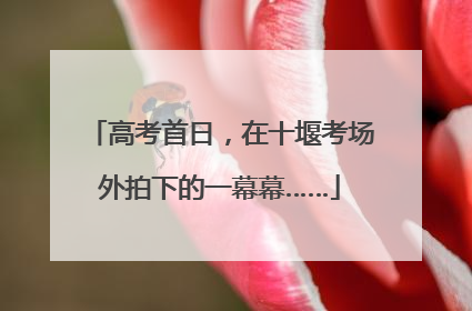 高考首日，在十堰考场外拍下的一幕幕……