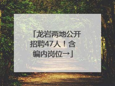 龙岩两地公开招聘47人！含编内岗位→