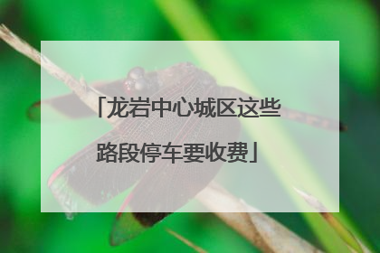 龙岩中心城区这些路段停车要收费