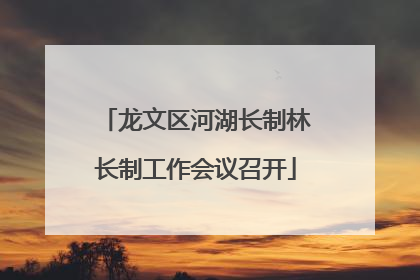 龙文区河湖长制林长制工作会议召开