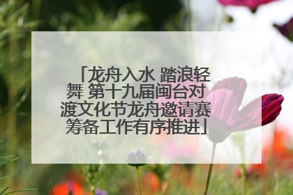 龙舟入水 踏浪轻舞 第十九届闽台对渡文化节龙舟邀请赛筹备工作有序推进