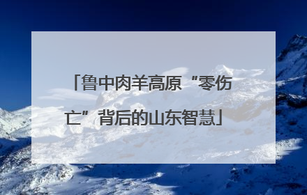 鲁中肉羊高原“零伤亡”背后的山东智慧