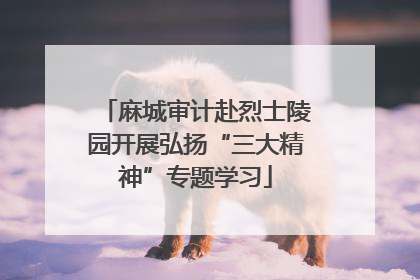 麻城审计赴烈士陵园开展弘扬“三大精神”专题学习