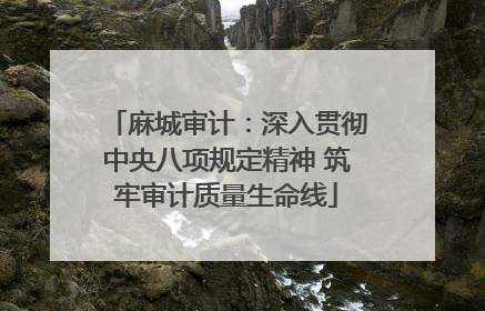 麻城审计：深入贯彻中央八项规定精神 筑牢审计质量生命线