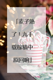 麦子熟了！九千载稼穑中原回响