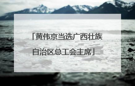 黄伟京当选广西壮族自治区总工会主席
