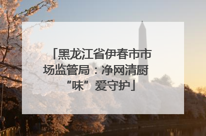 黑龙江省伊春市市场监管局：净网清厨 “味”爱守护