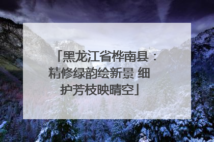 黑龙江省桦南县：精修绿韵绘新景 细护芳枝映晴空