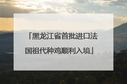 黑龙江省首批进口法国祖代种鸡顺利入境