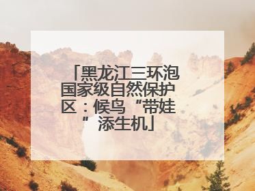 黑龙江三环泡国家级自然保护区：候鸟“带娃”添生机