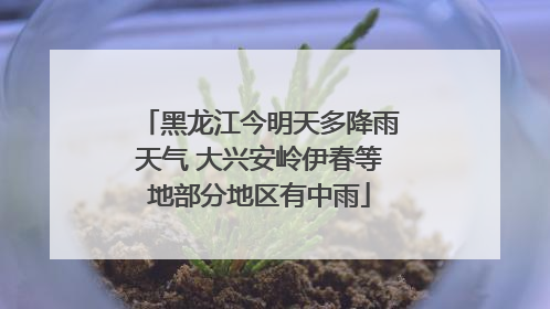 黑龙江今明天多降雨天气 大兴安岭伊春等地部分地区有中雨