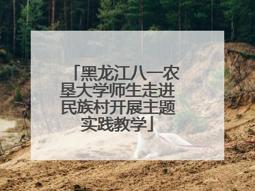 黑龙江八一农垦大学师生走进民族村开展主题实践教学