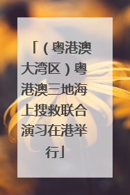（粤港澳大湾区）粤港澳三地海上搜救联合演习在港举行