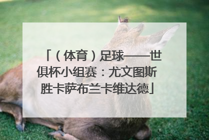 （体育）足球——世俱杯小组赛：尤文图斯胜卡萨布兰卡维达德