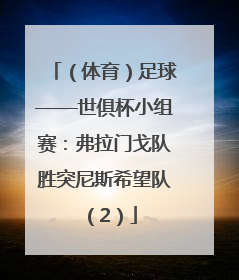 （体育）足球——世俱杯小组赛：弗拉门戈队胜突尼斯希望队（2）