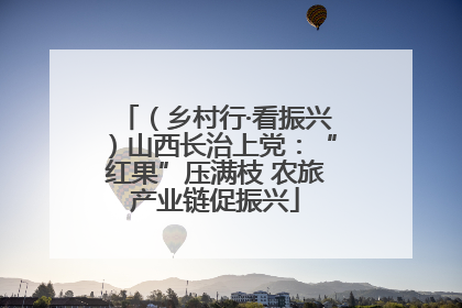 （乡村行·看振兴）山西长治上党：“红果”压满枝 农旅产业链促振兴