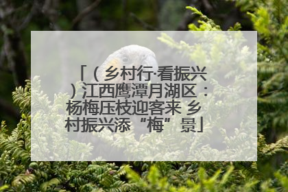 （乡村行·看振兴）江西鹰潭月湖区：杨梅压枝迎客来 乡村振兴添“梅”景